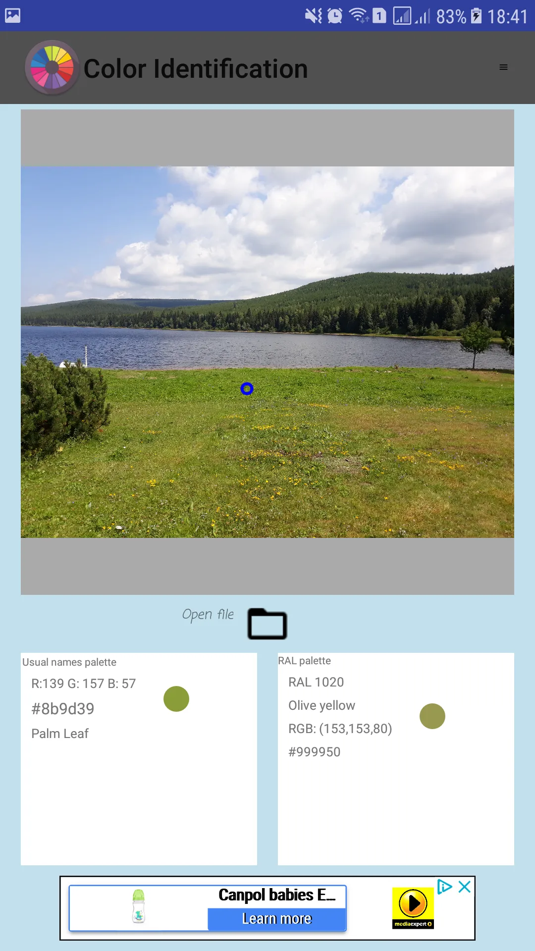Screenshot