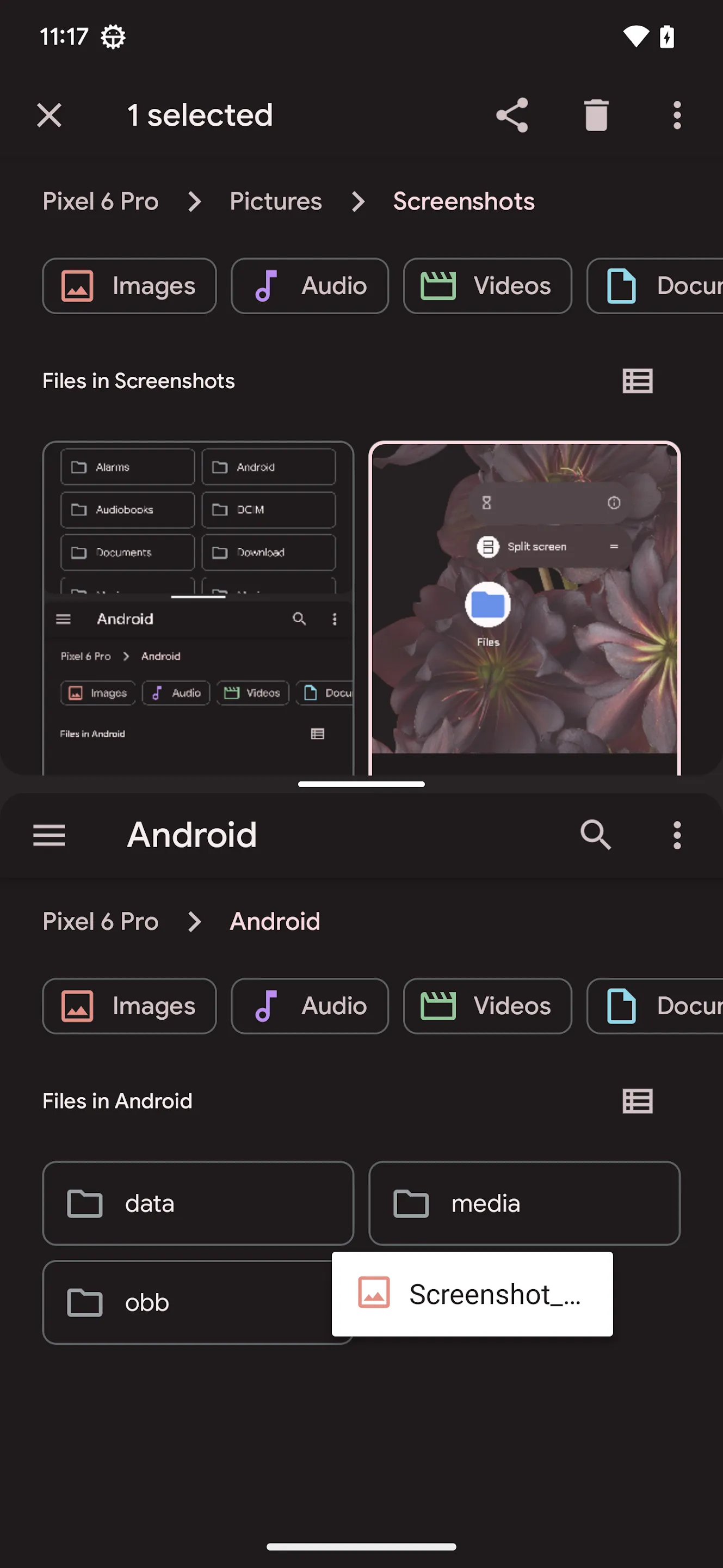Screenshot