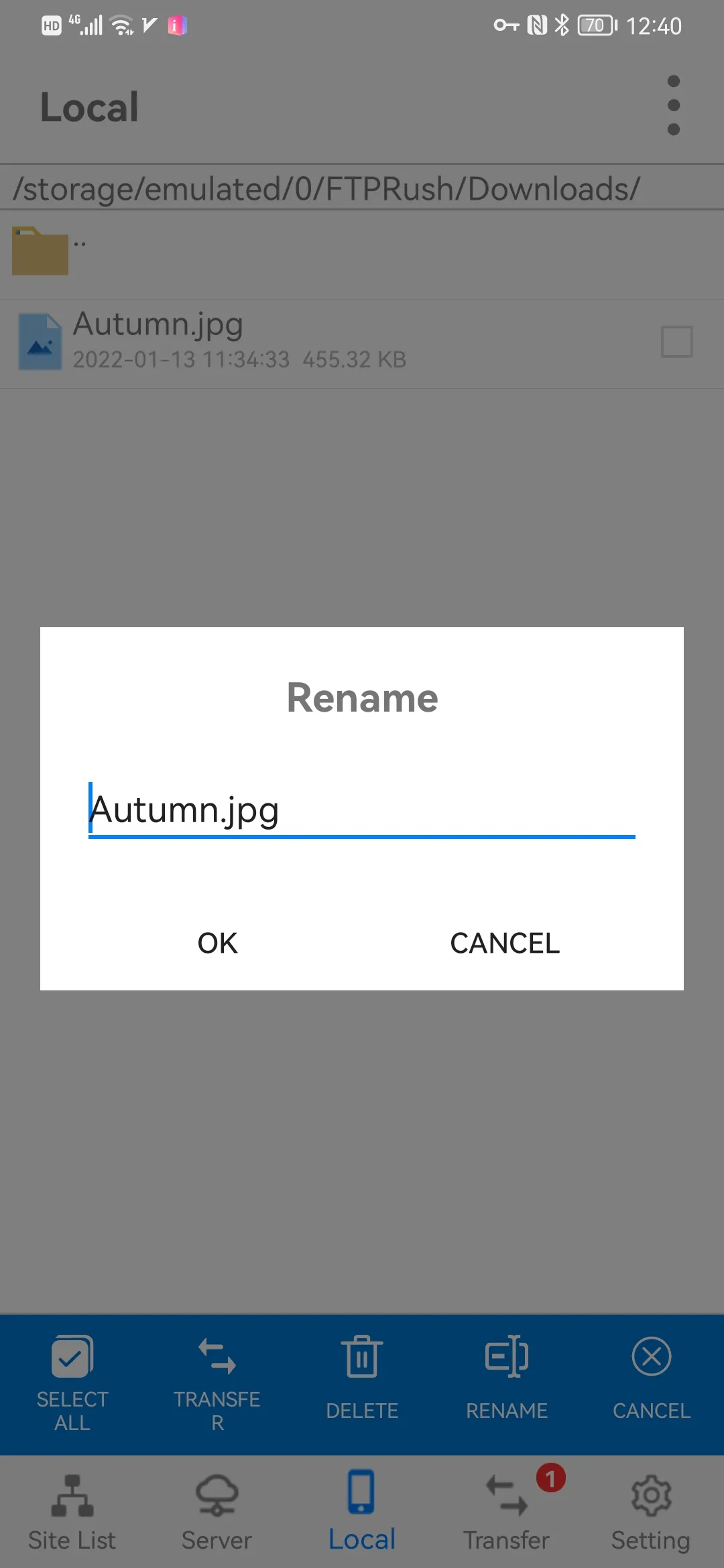 Screenshot