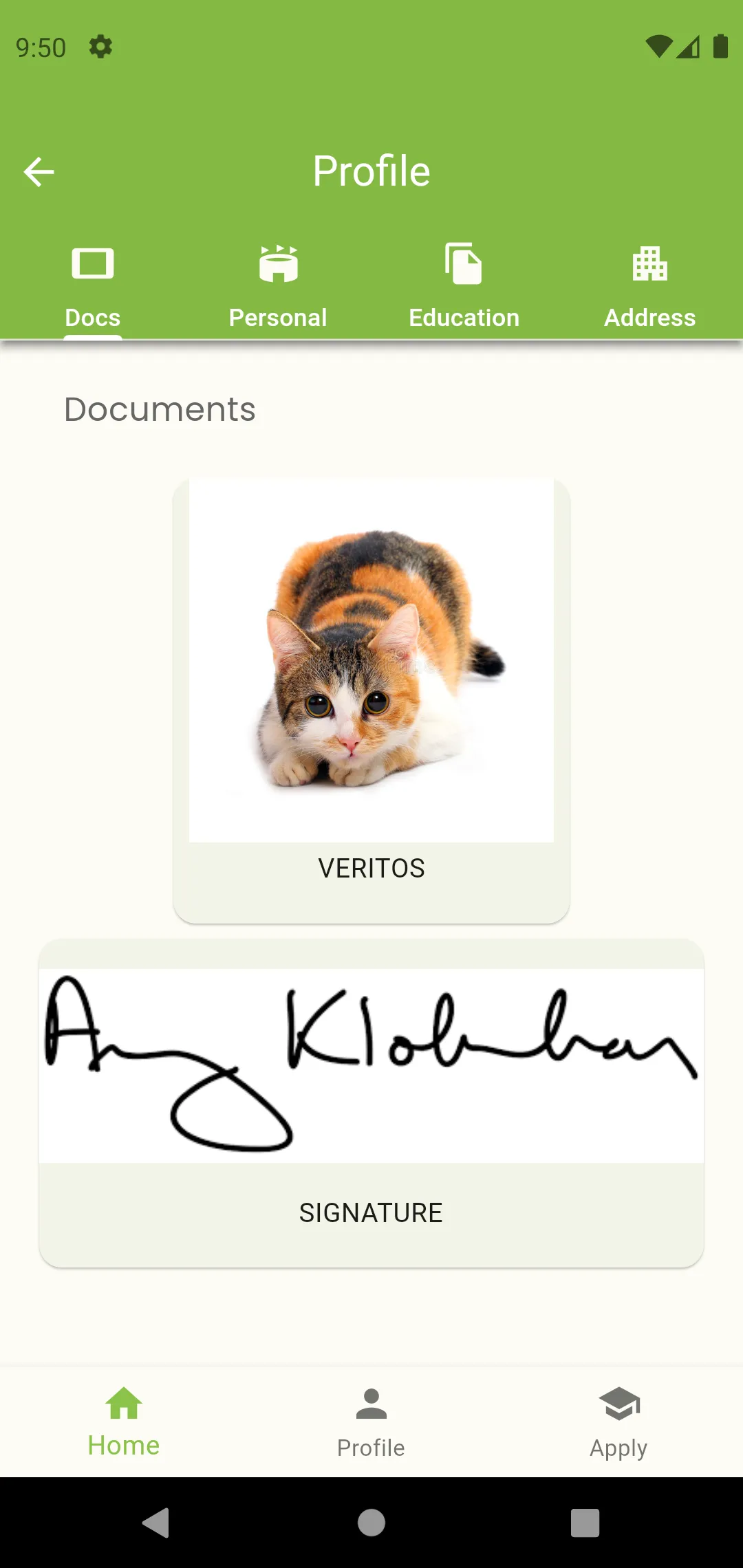 Screenshot