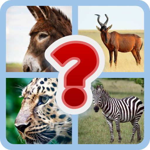 Night Sage Brain Teasers Quiz | Indus Appstore | App Icon