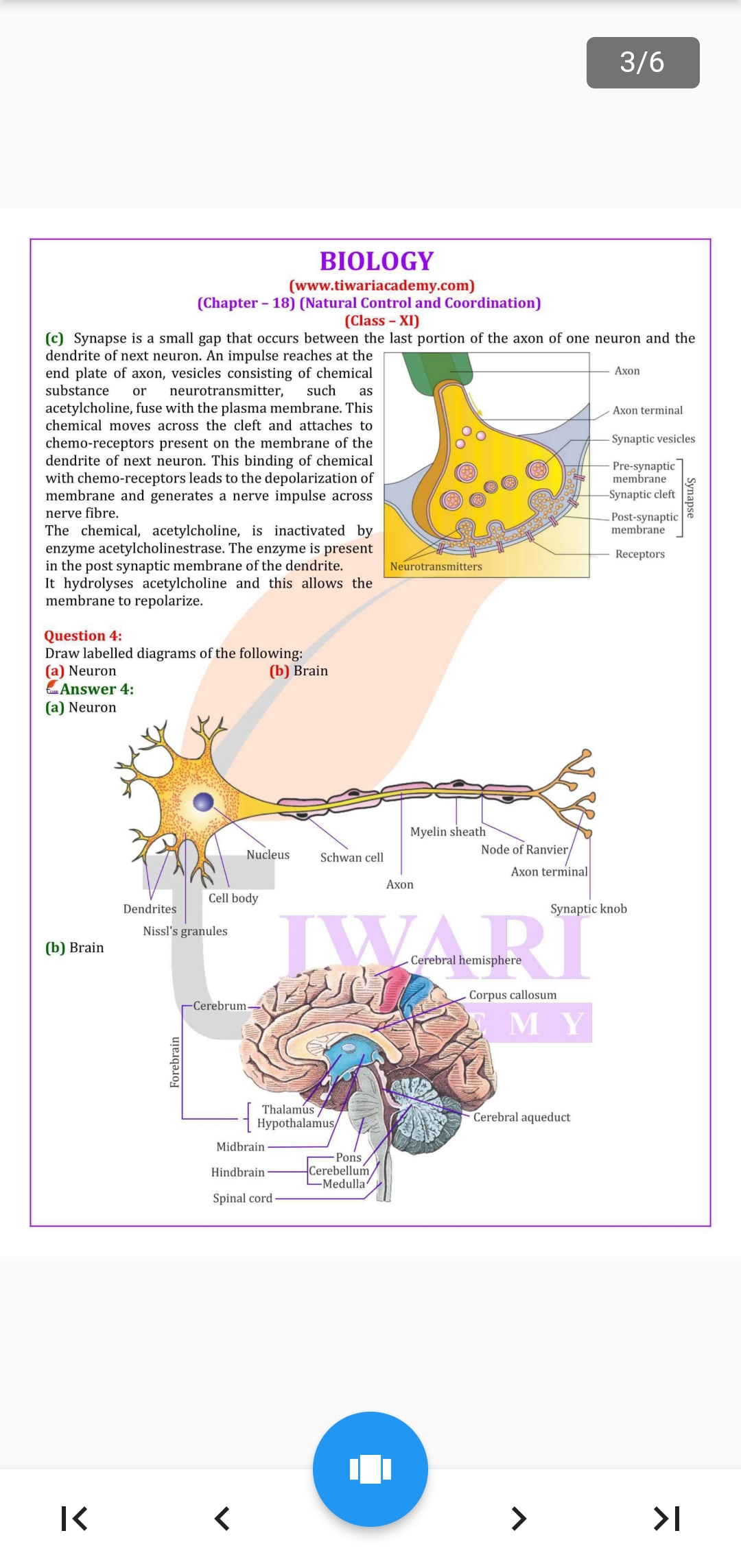 NCERT Solutions of NCERT Books | Indus Appstore | Screenshot