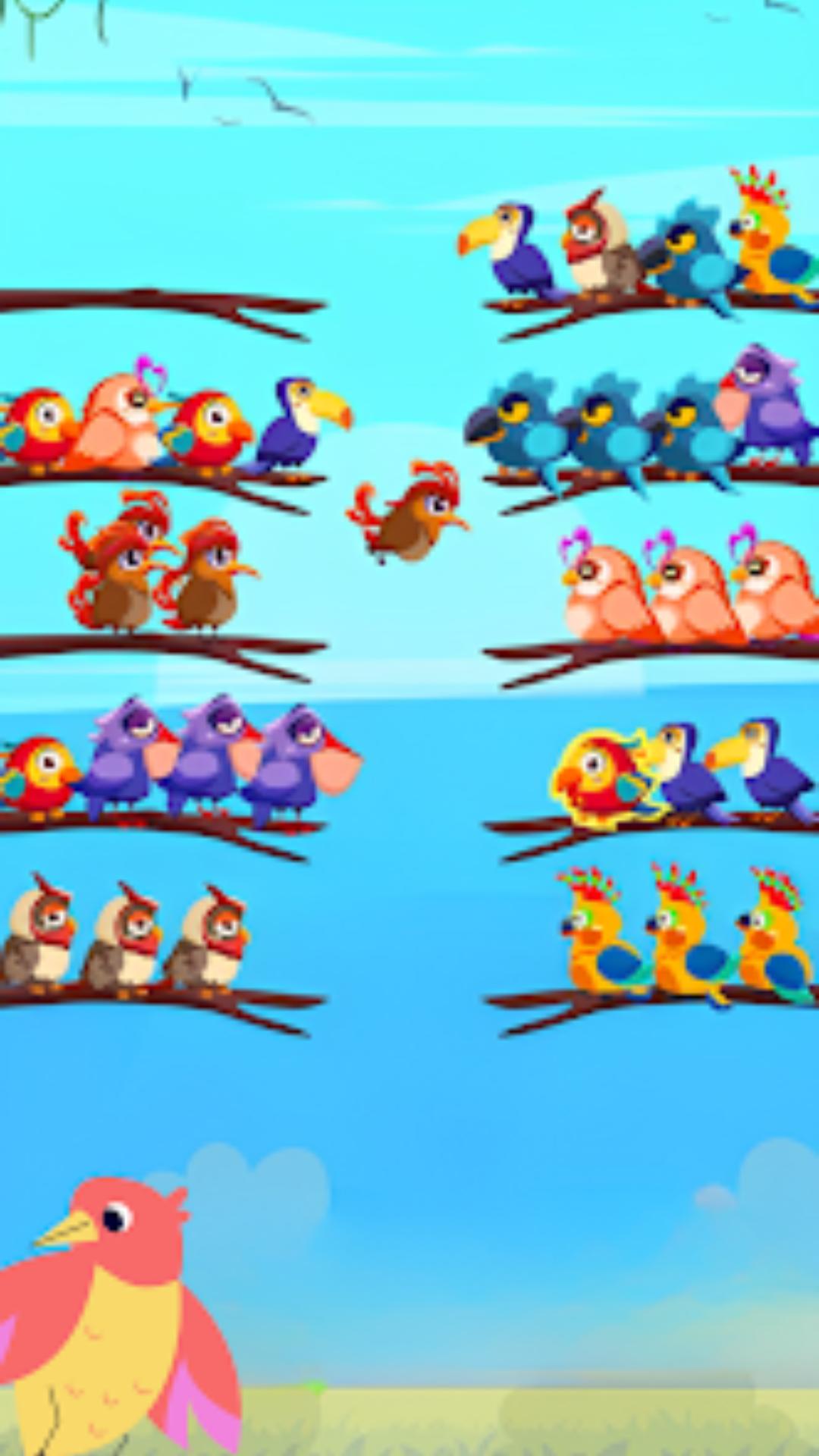 Sort Color Birds Brain Puzzle | Indus Appstore | Screenshot