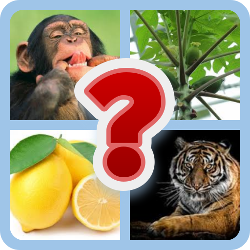 GAS ANIMALS AND FRUITS NAMES | Indus Appstore | App Icon