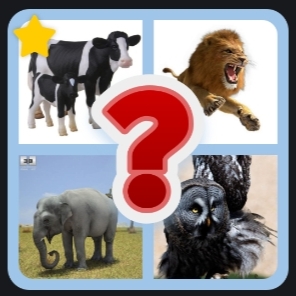 Guess the Animal Trivia Quiz | Indus Appstore | App Icon