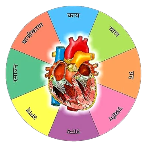 Astangahrdayam - Sa & Hi | Indus Appstore | App Icon