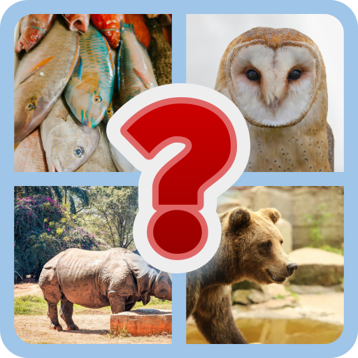 General Knowledge Quiz | Indus Appstore | App Icon