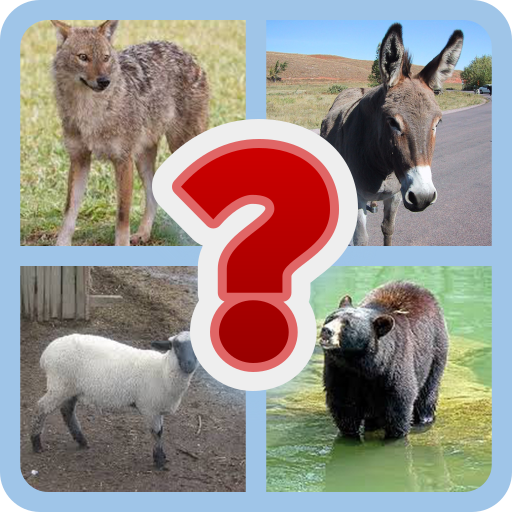 Animal lover : Guess the pic | Indus Appstore | App Icon