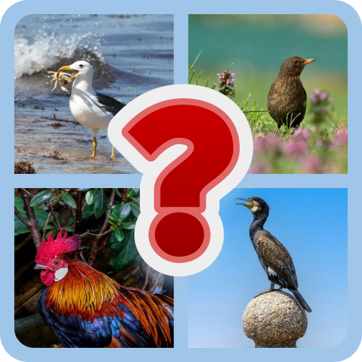 Strange Bird Quiz Challenge | Indus Appstore | App Icon