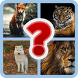 Guess the Image | Indus Appstore | App Icon