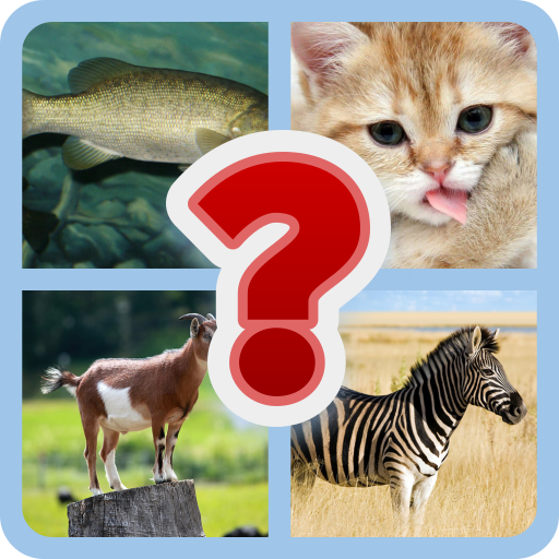 Horse Guessing Quiz Game | Indus Appstore | App Icon