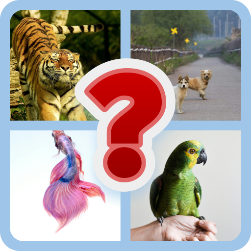 Ultimate Image Guess Quiz | Indus Appstore | App Icon