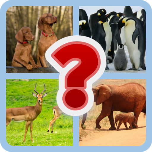 Guess the pic | Indus Appstore | App Icon