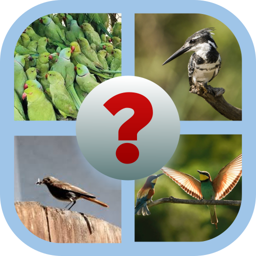 Name Guessing Challenge | Indus Appstore | App Icon