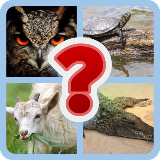 Guess Animal image | Indus Appstore | App Icon