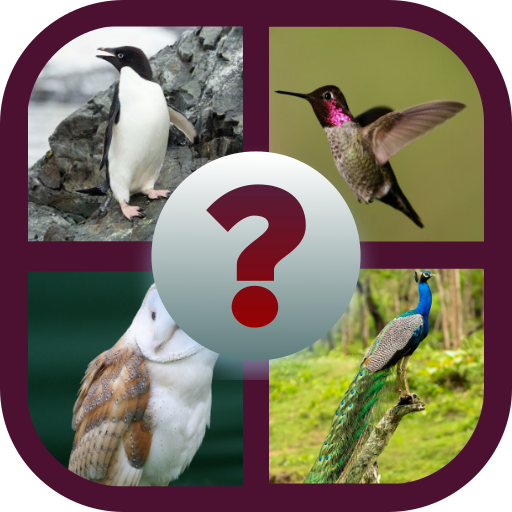 I Know That Bird | Indus Appstore | App Icon