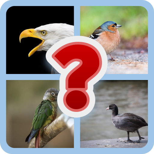 Bird Trivia: Guess the Creature Quiz | Indus Appstore | App Icon