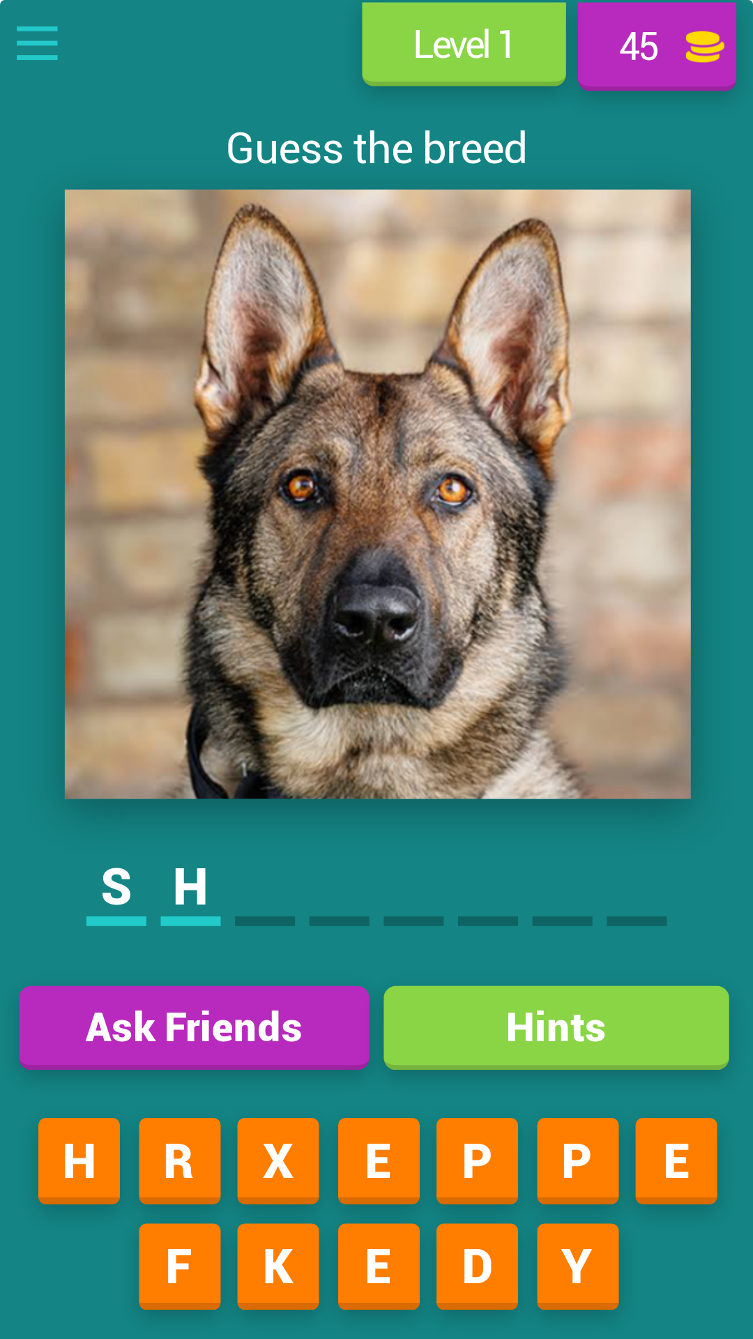 DOG QUIZ : GUESS & LEARN | Indus Appstore | Screenshot