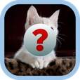 Guess and Earn | Indus Appstore | App Icon