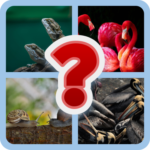 Guess the pic | Indus Appstore | App Icon