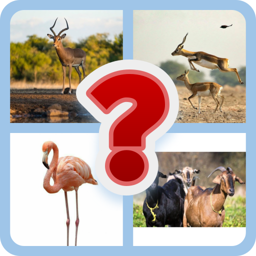 Animal Trivia: Guess the Creature Quiz | Indus Appstore | App Icon