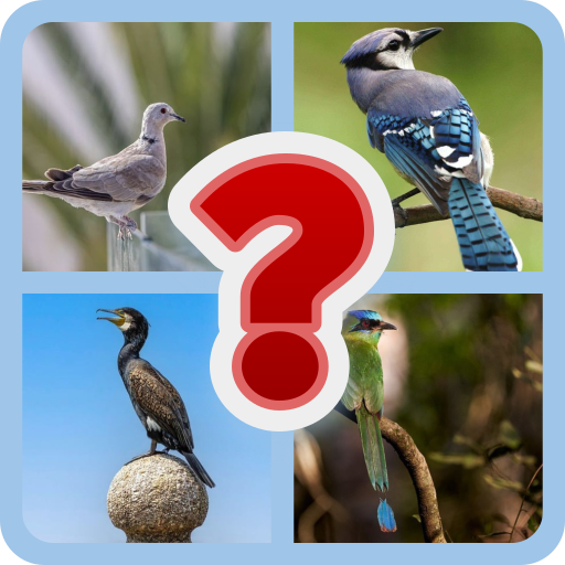 Birds Trivia Quiz Guess Birds | Indus Appstore | App Icon