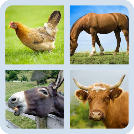 animals quiz : guess the name | Indus Appstore | App Icon