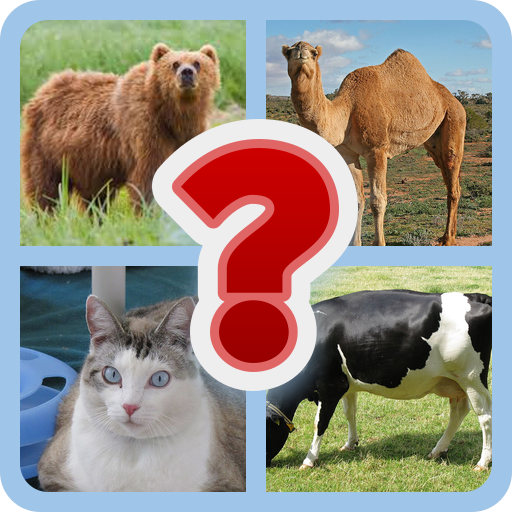 RIGHT ANIMAL SELECTION QUIZ | Indus Appstore | Screenshot