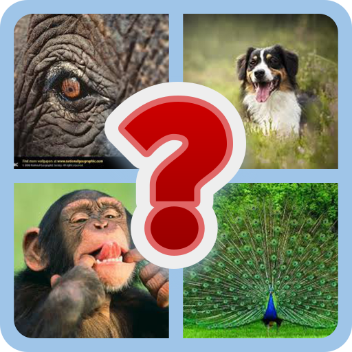 Guess The Game Trivia Quiz | Indus Appstore | App Icon