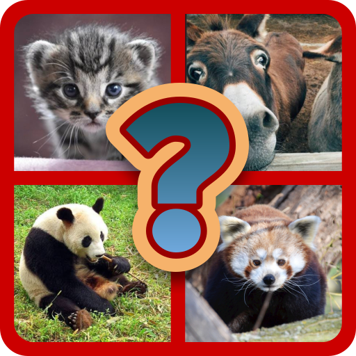 Animalova : guess and gain .(Animals) Tactic buildup | Indus Appstore | App Icon