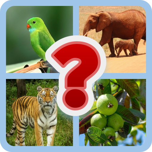 Free Guess | Indus Appstore | App Icon