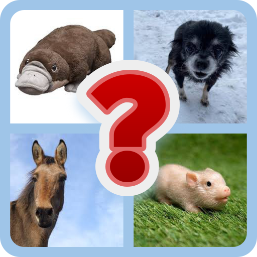 Animal Trivia: Guess the Creature Quiz | Indus Appstore | App Icon