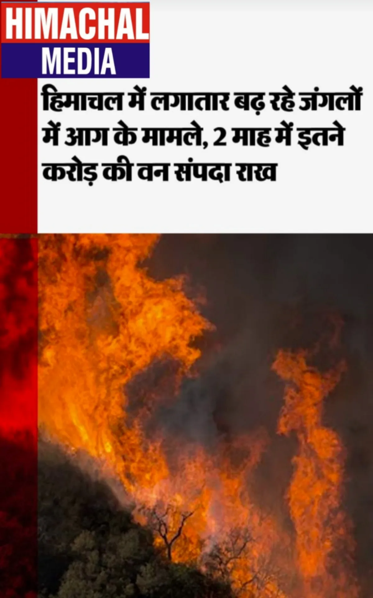 Himachal Media | Indus Appstore | Screenshot