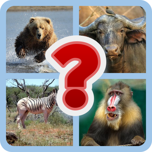 My Guess the pic | Indus Appstore | App Icon