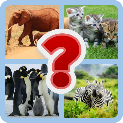 Anime trive :-Animal the quiz | Indus Appstore | App Icon