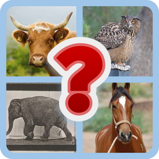 Picture Quiz: Guess the Image | Indus Appstore | App Icon