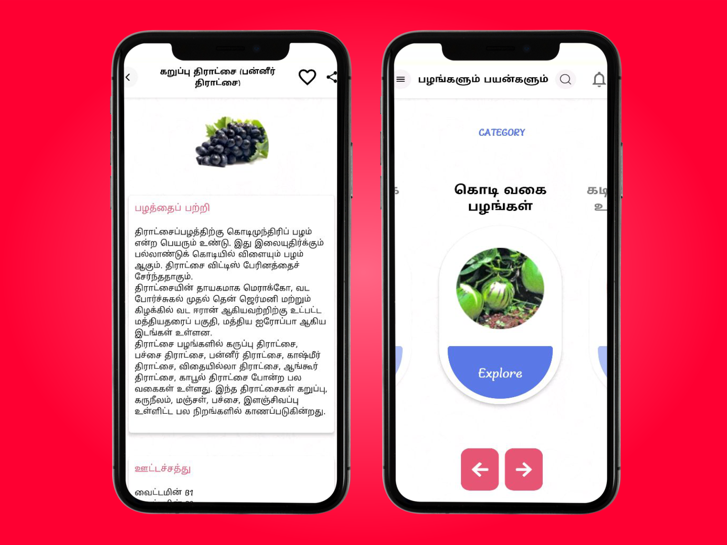 பழங்களும் பயன்களும் (Fruits and benefits) | Indus Appstore | Screenshot