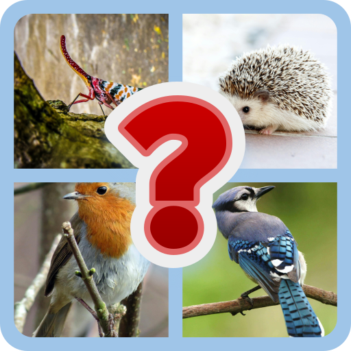 Animal Trivia: Guess the Creature Quiz | Indus Appstore | App Icon