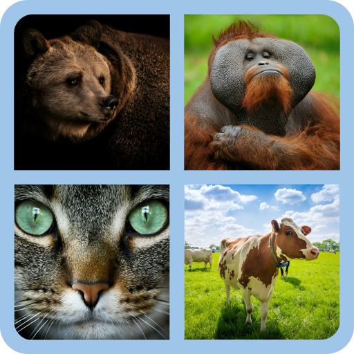 ANIMAL IDENTIFY | Indus Appstore | App Icon