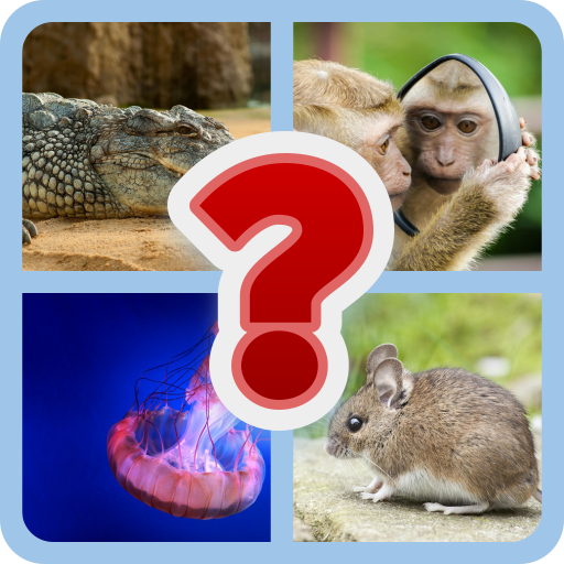 Test Your Brain: Ultimate Challenge | Indus Appstore | App Icon