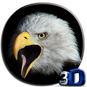 Eagle 3D Video Live Wallpaper | Indus Appstore | App Icon