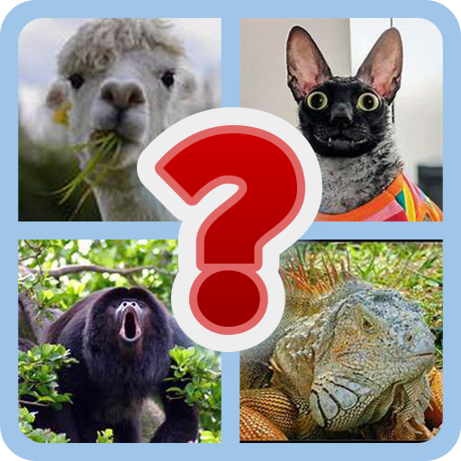 Animal Chance Trivia Challenge | Indus Appstore | App Icon