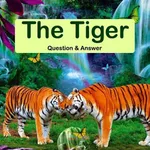 Kids Tiger Quiz Audio Answersapp icon