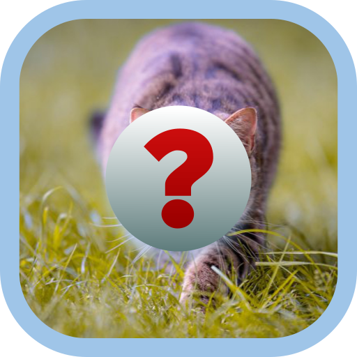 "GUESS THE PICTURE" Solve the picture puzzle | Indus Appstore | App Icon