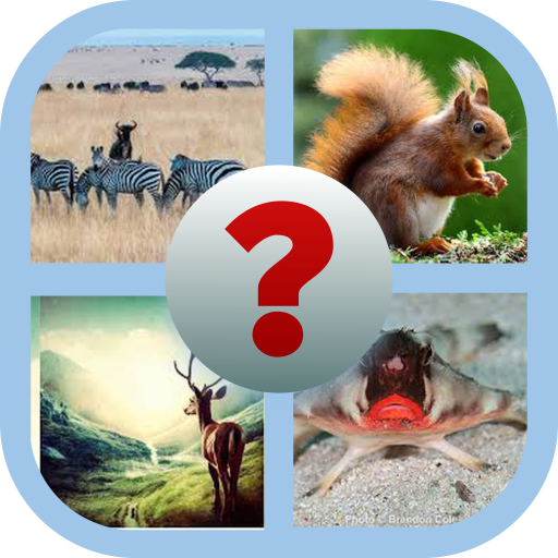 Answer the animal name | Indus Appstore | App Icon