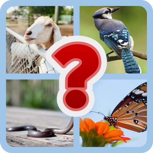 Animal Games:Ordinary to Extraordinary | Indus Appstore | App Icon