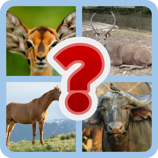 Wild Wonders: Animal Identification Quiz | Indus Appstore | App Icon