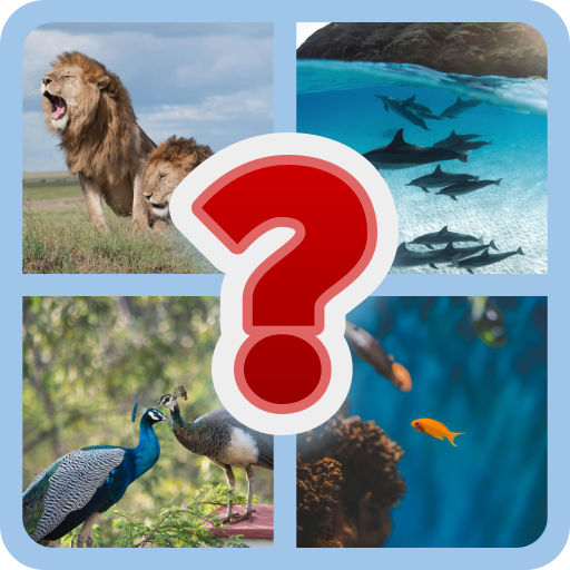 Animal Riddles | Indus Appstore | App Icon