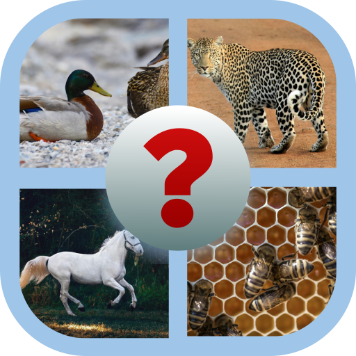 Find and learn | Indus Appstore | App Icon