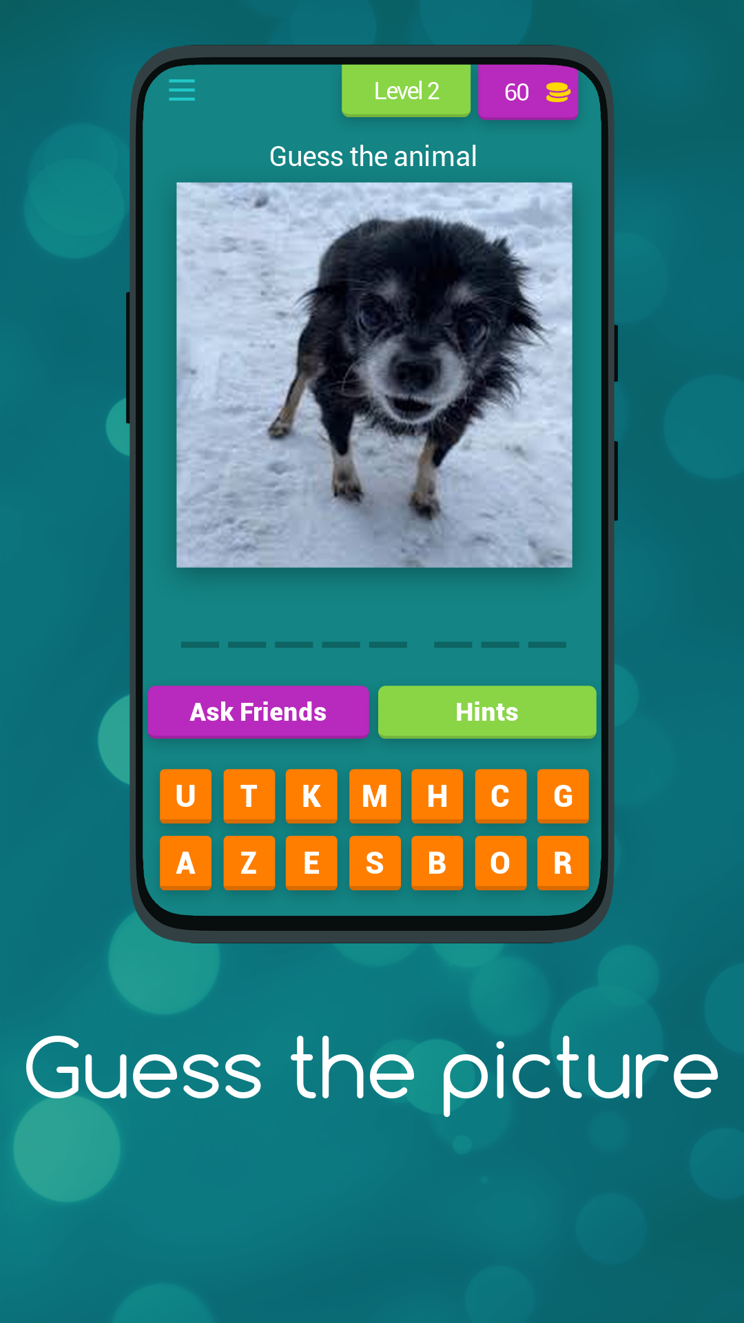 Animal Trivia: Guess the Creature Quiz | Indus Appstore | Screenshot